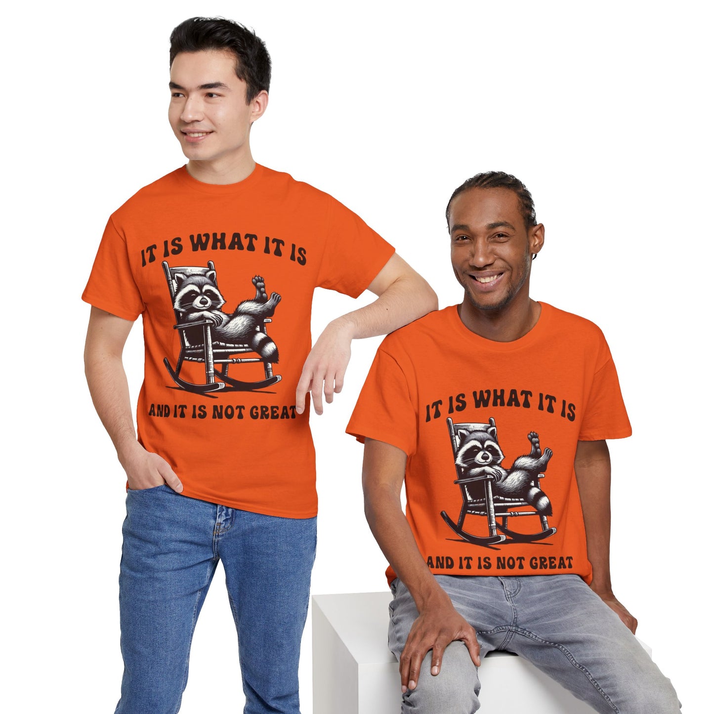 It Is What It Is Unisex Heavy Cotton Tee