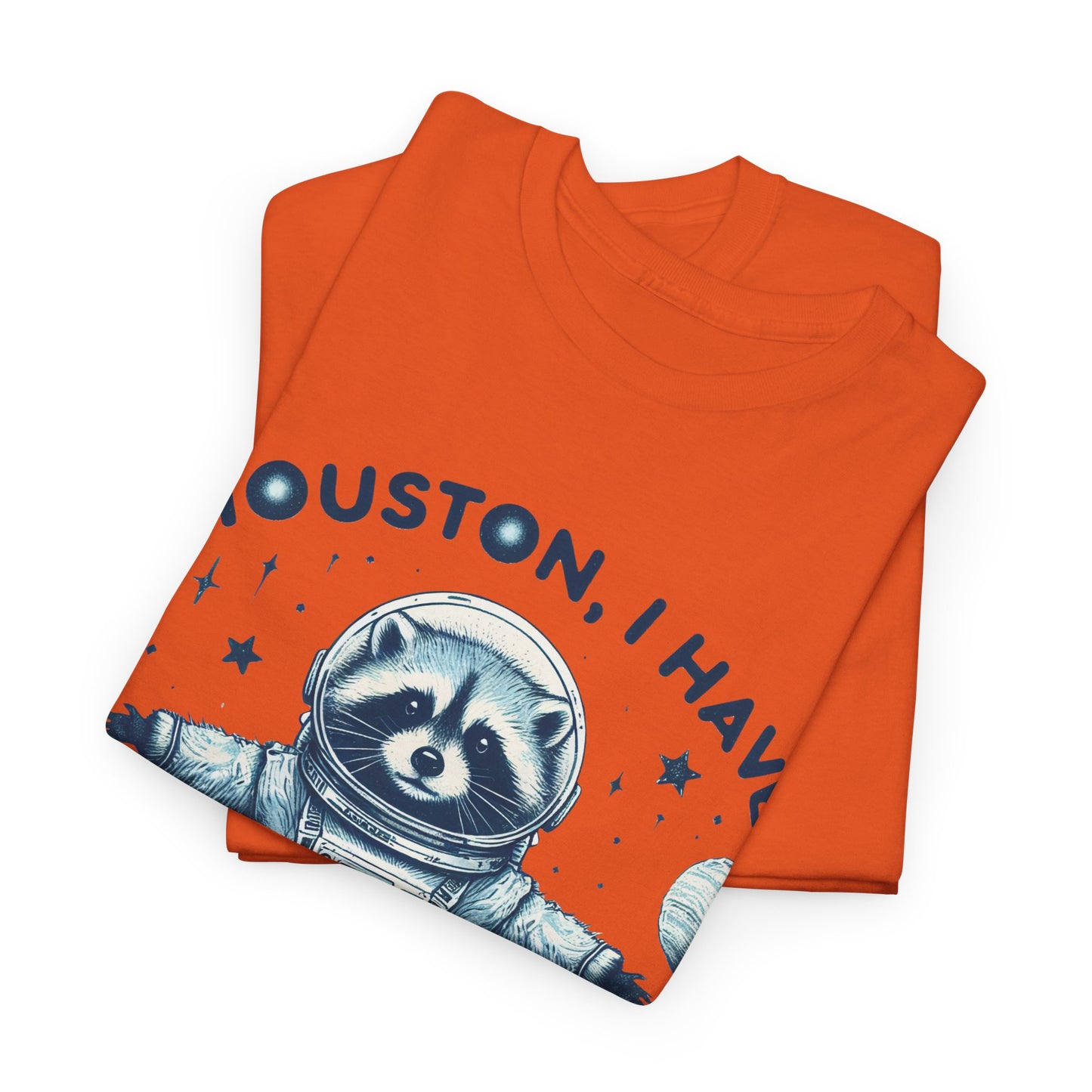 Houston I Have So Many Problems Unisex Heavy Cotton Tee
