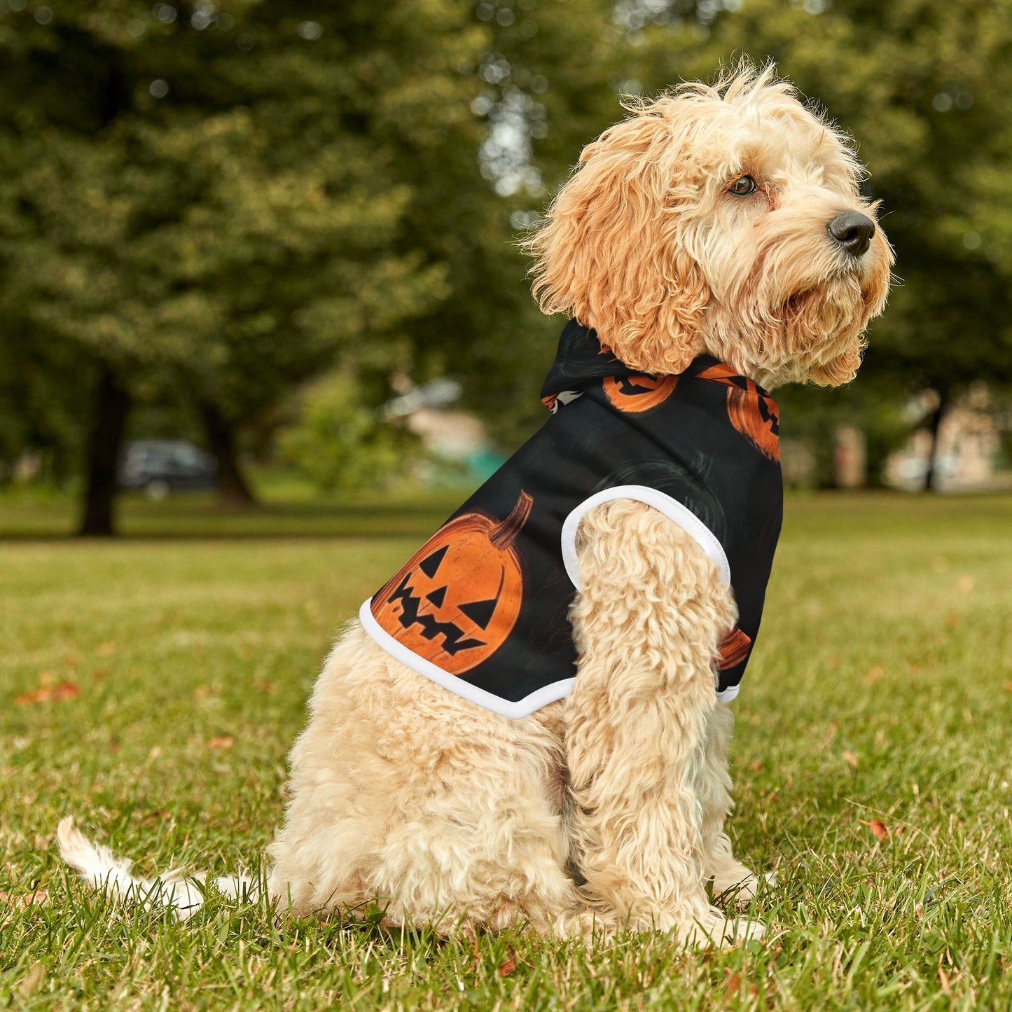 Spooky Halloween Pet Hoodie