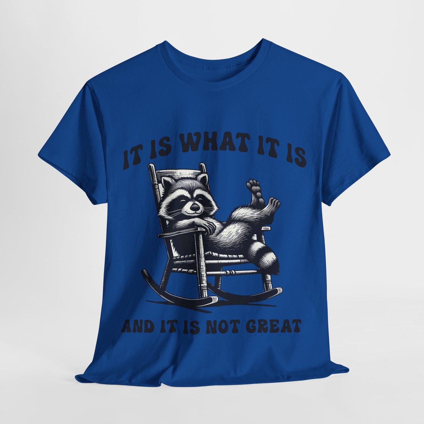 It Is What It Is Unisex Heavy Cotton Tee