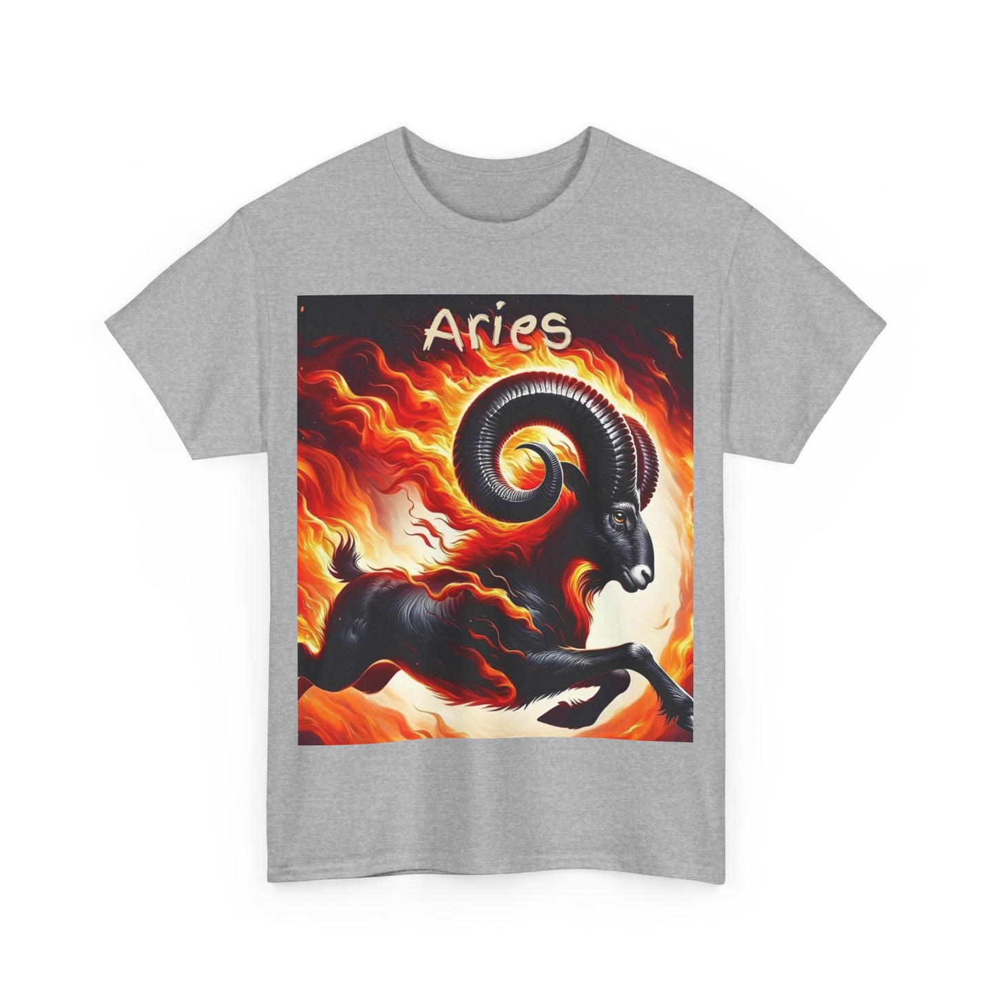Aries Unisex Heavy Cotton Tee