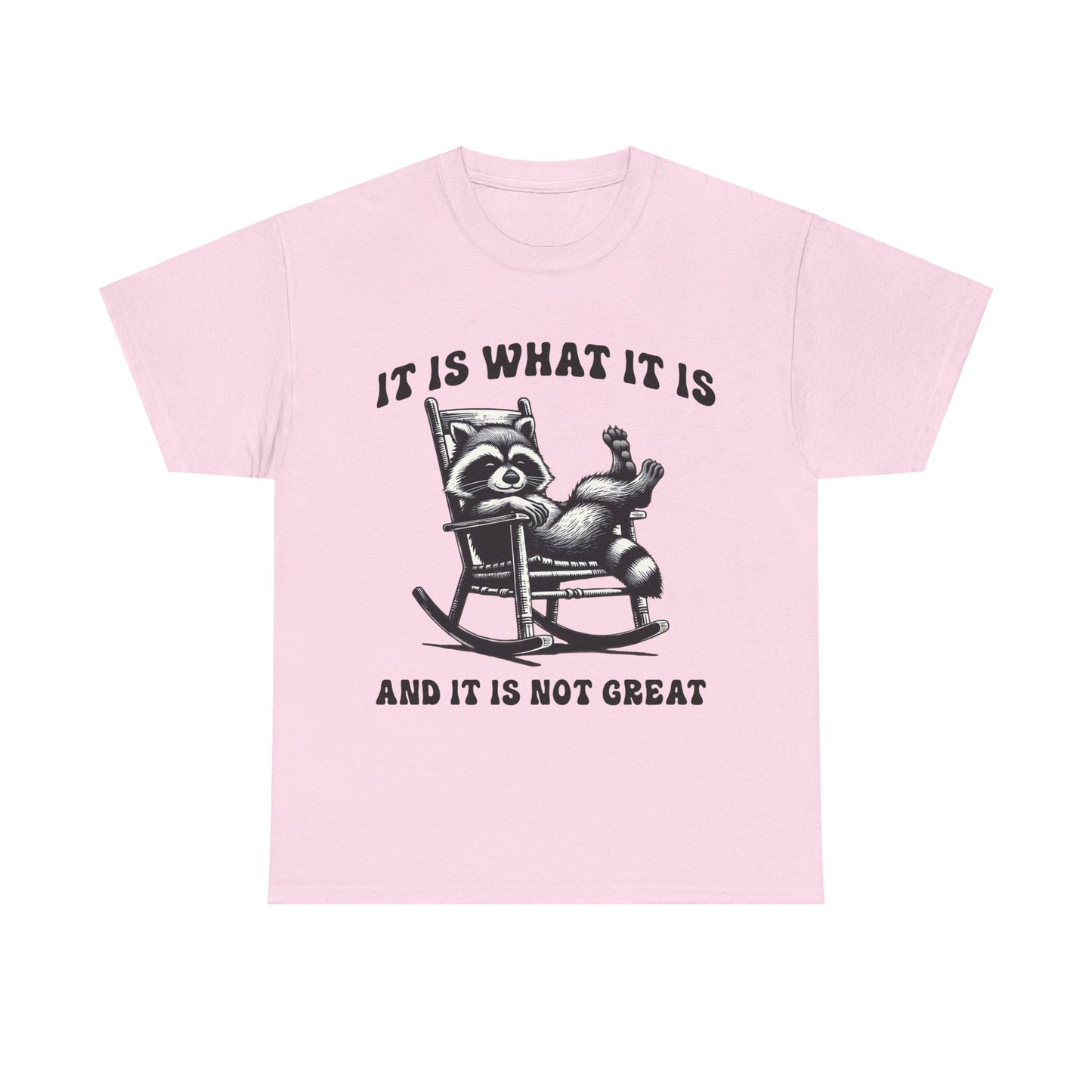 It Is What It Is Unisex Heavy Cotton Tee