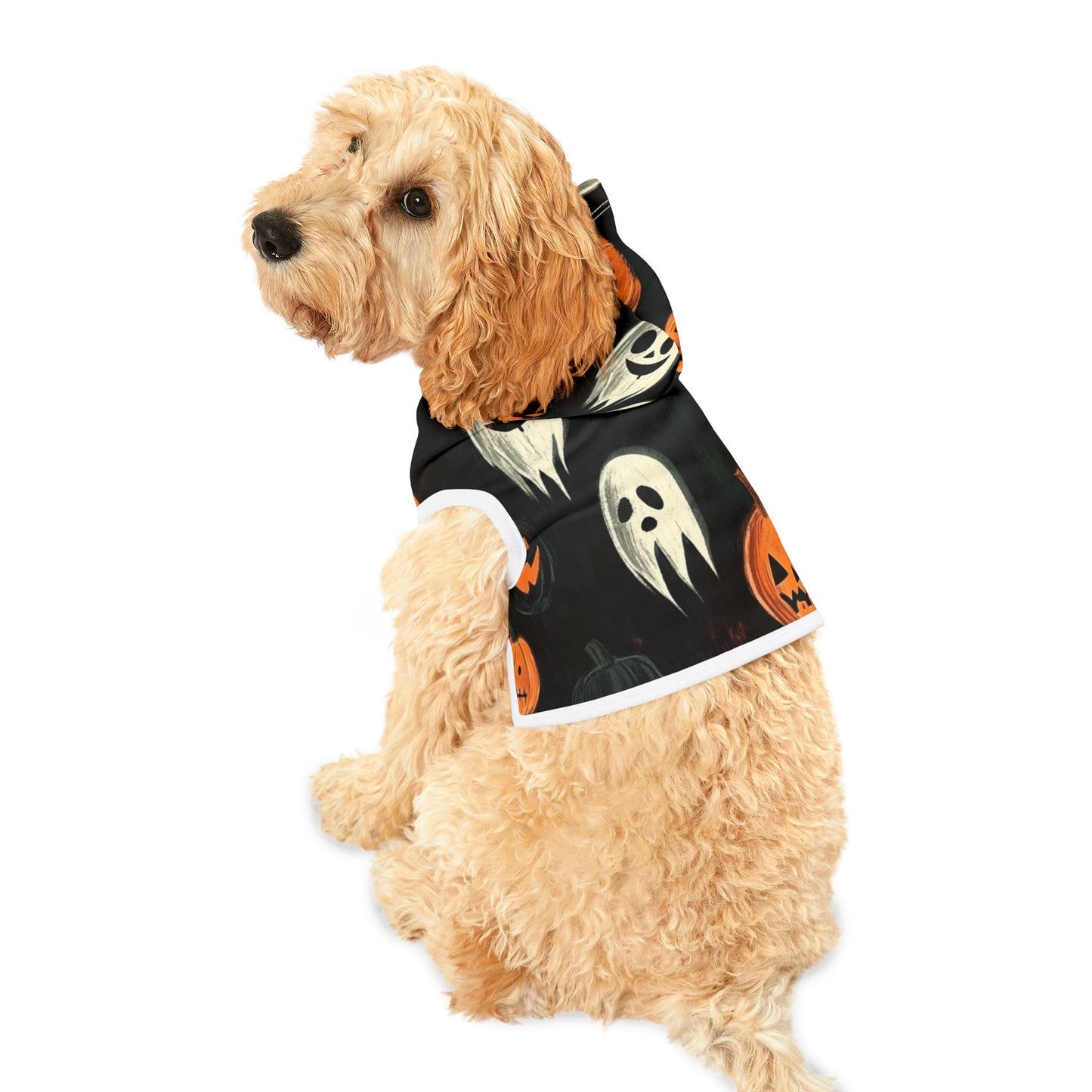 Spooky Halloween Pet Hoodie
