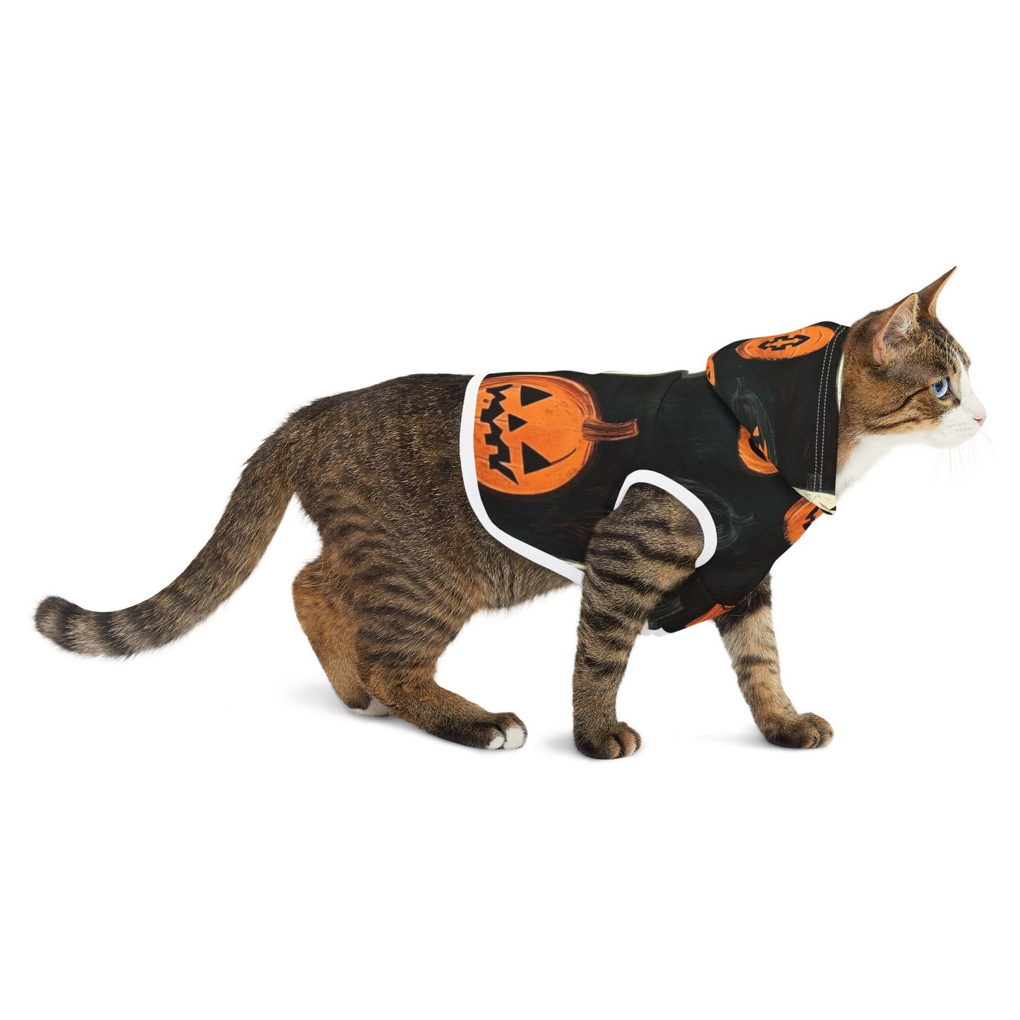 Spooky Halloween Pet Hoodie