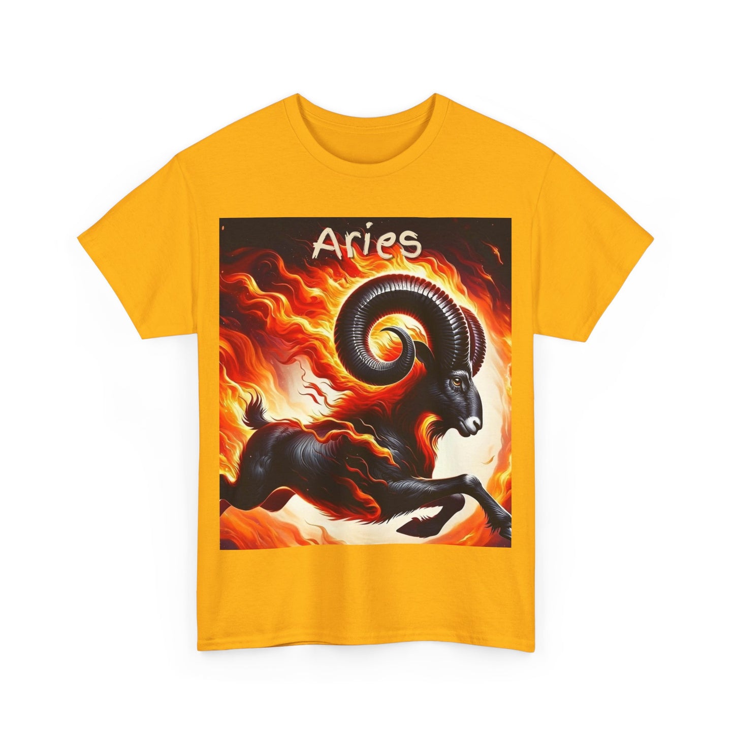 Aries Unisex Heavy Cotton Tee