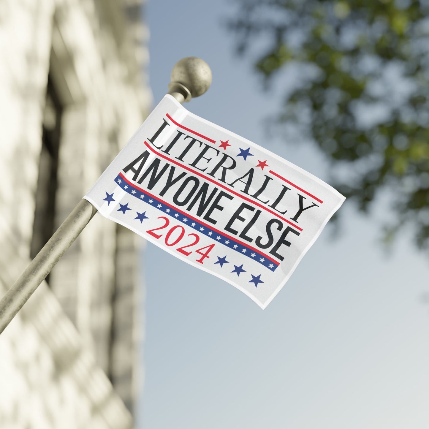 Literally Anyone Else 2024 Flag