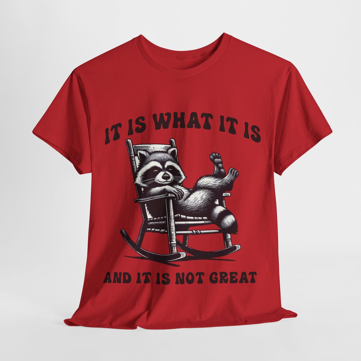 It Is What It Is Unisex Heavy Cotton Tee