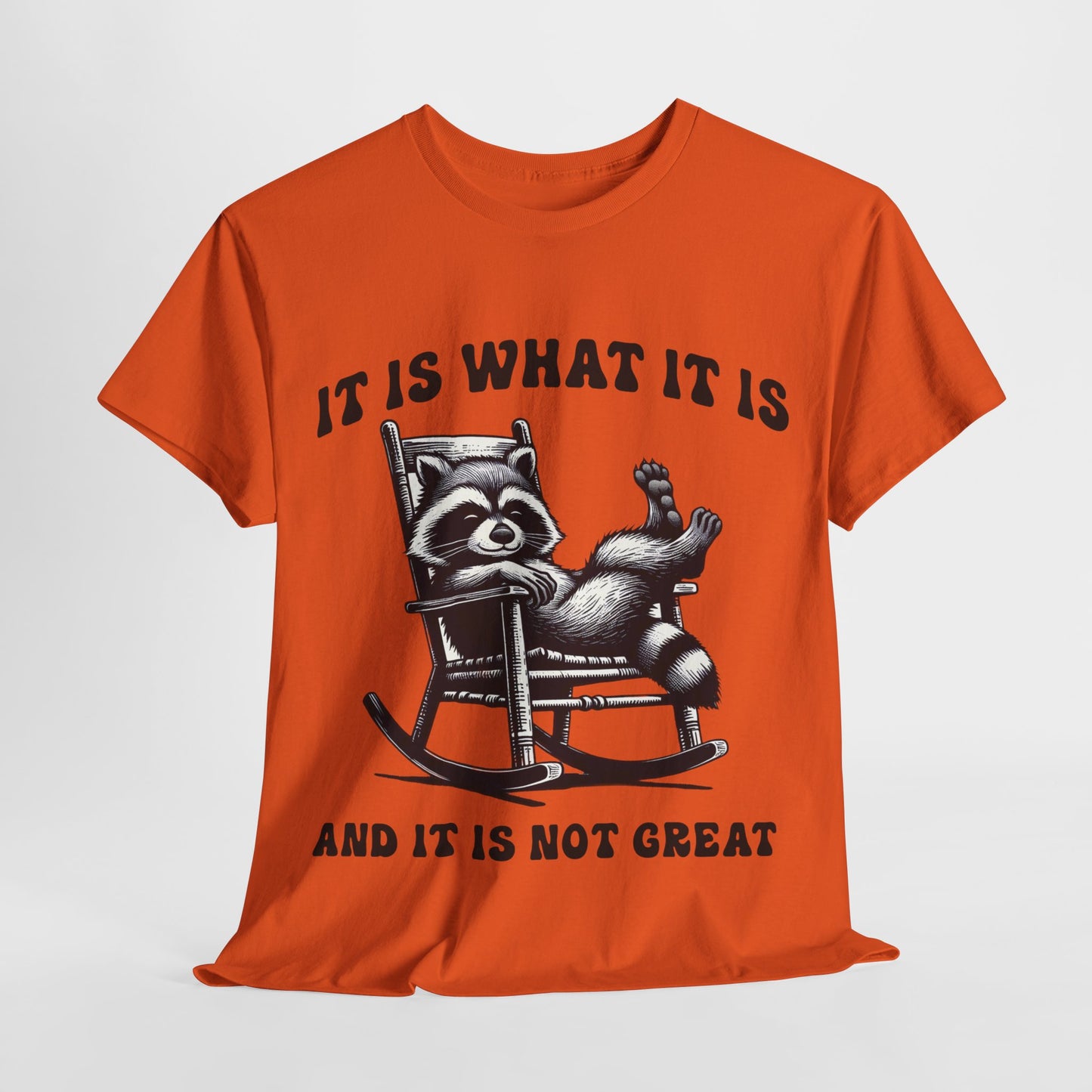 It Is What It Is Unisex Heavy Cotton Tee