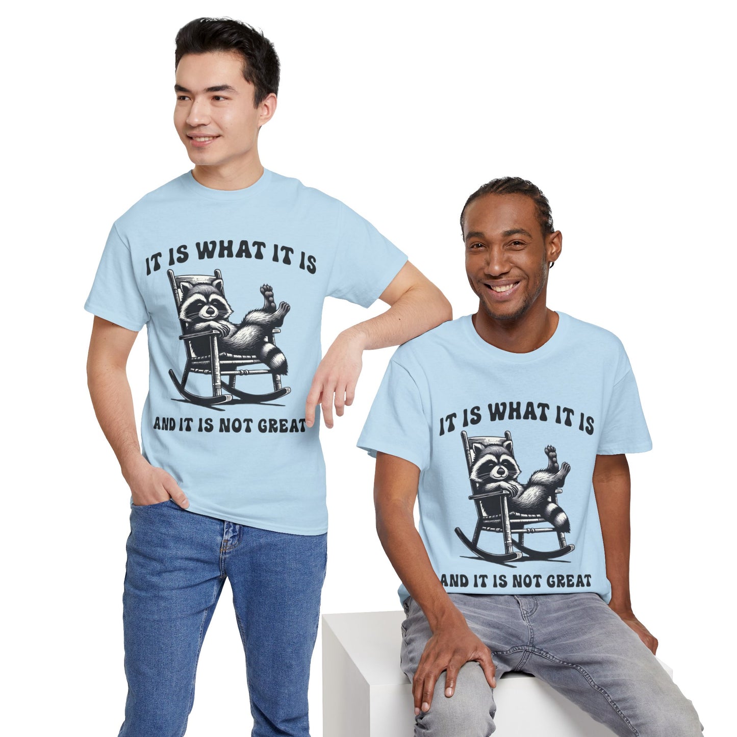 It Is What It Is Unisex Heavy Cotton Tee