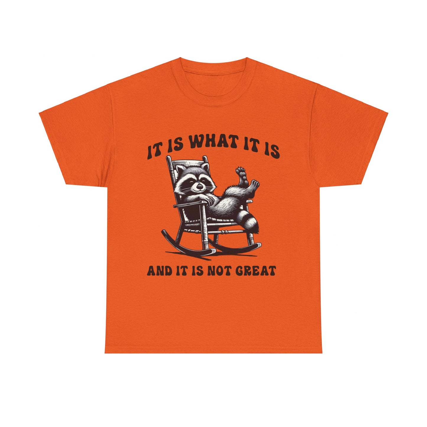 It Is What It Is Unisex Heavy Cotton Tee