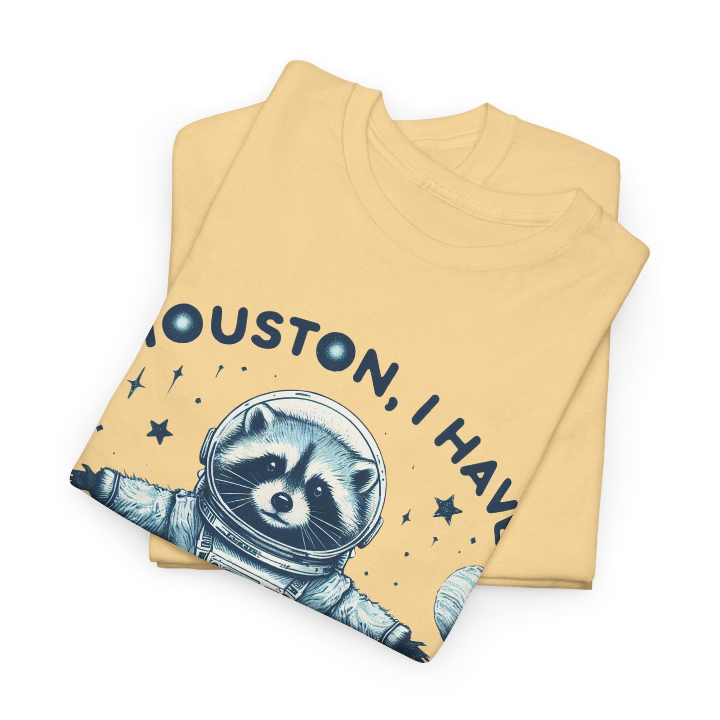 Houston I Have So Many Problems Unisex Heavy Cotton Tee