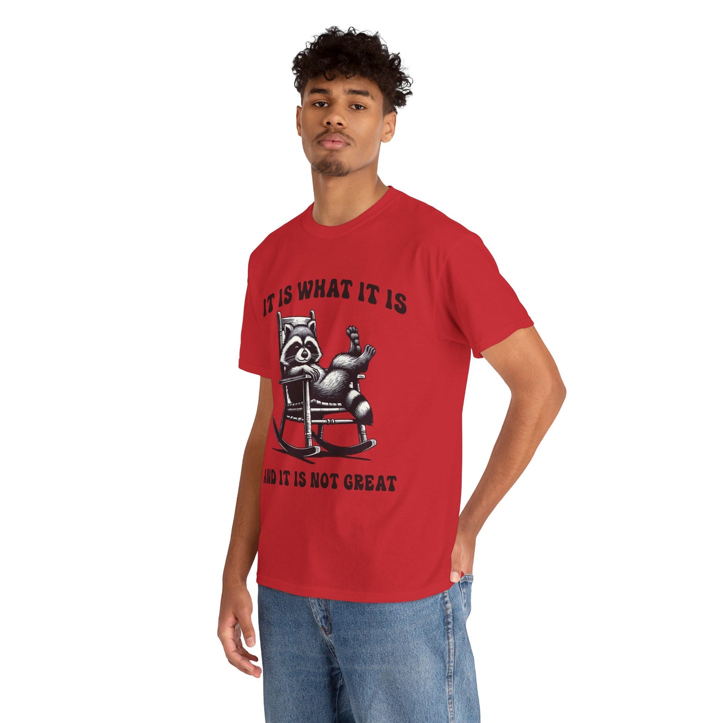 It Is What It Is Unisex Heavy Cotton Tee