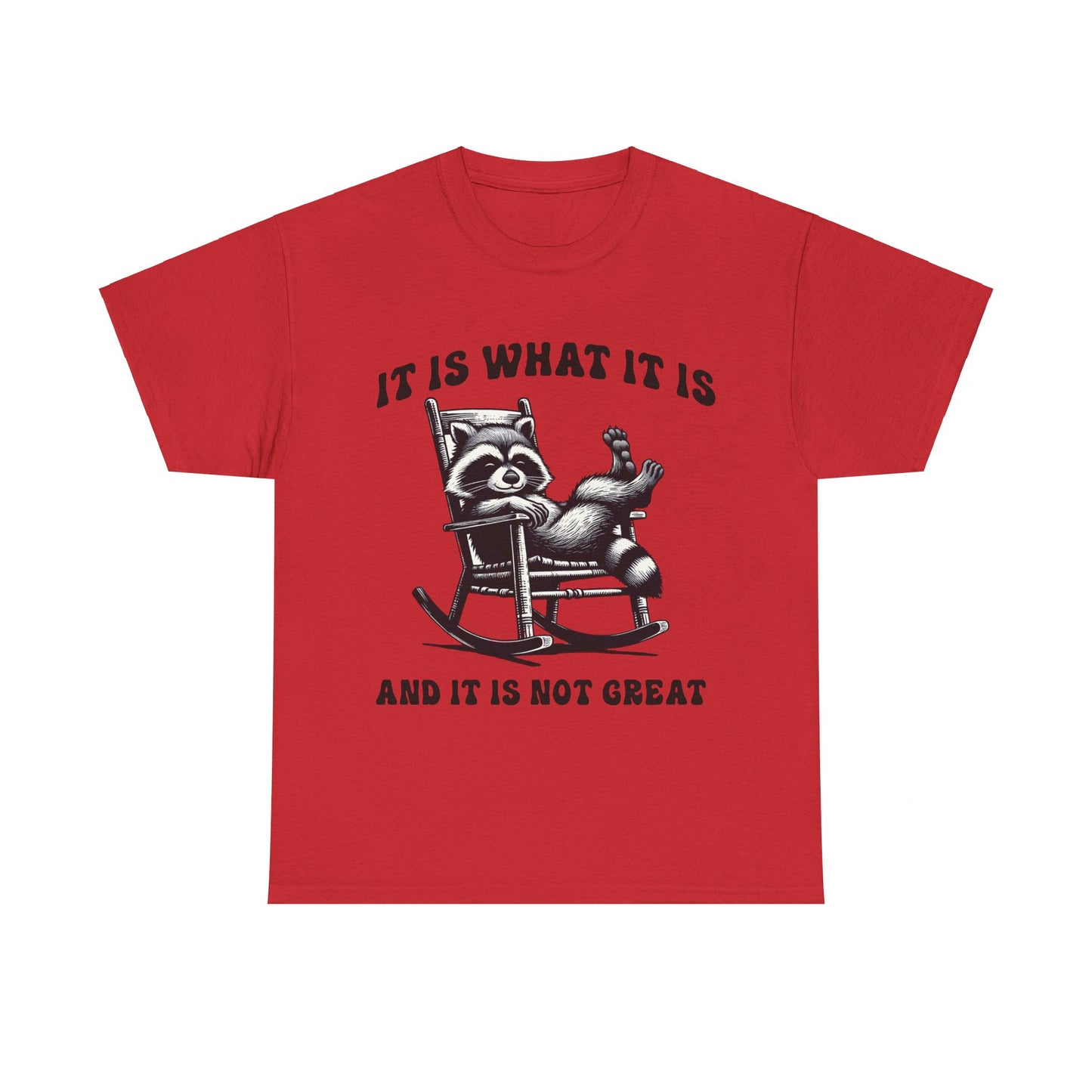 It Is What It Is Unisex Heavy Cotton Tee