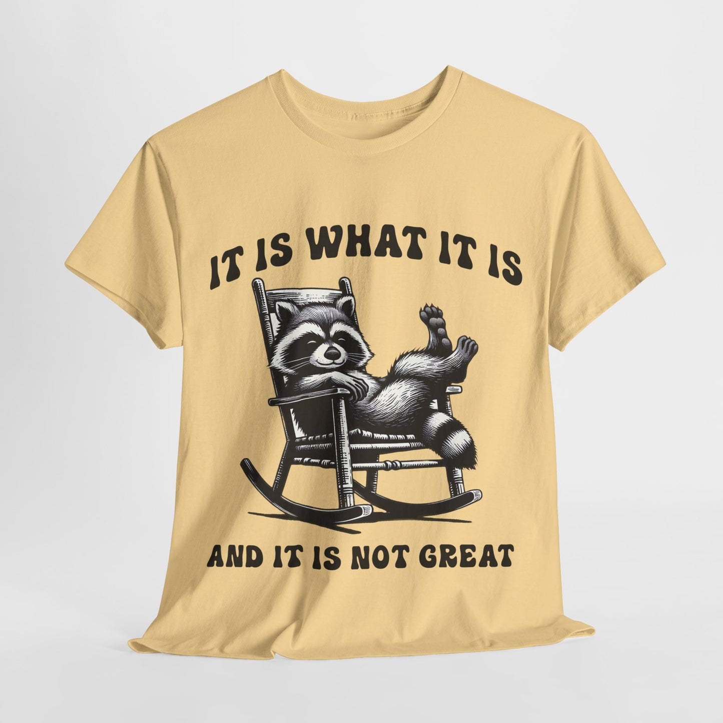It Is What It Is Unisex Heavy Cotton Tee