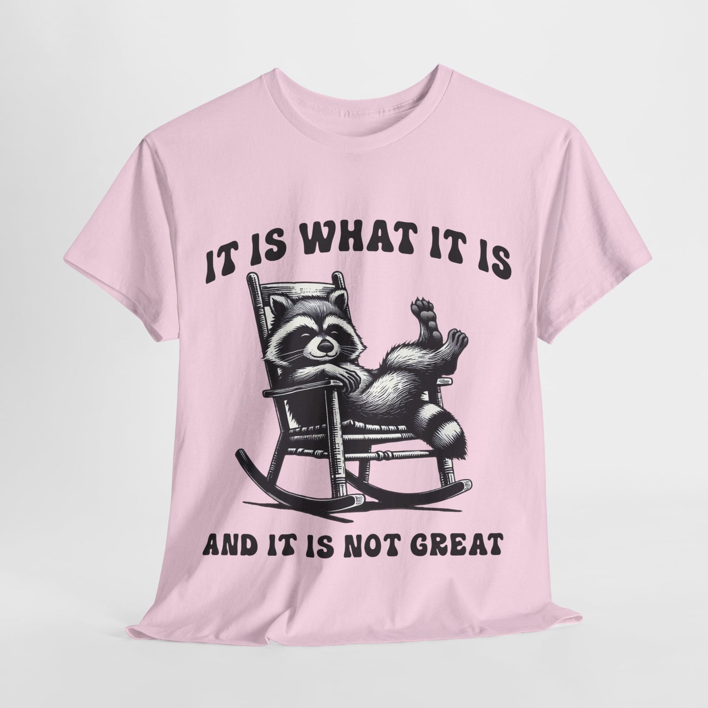 It Is What It Is Unisex Heavy Cotton Tee