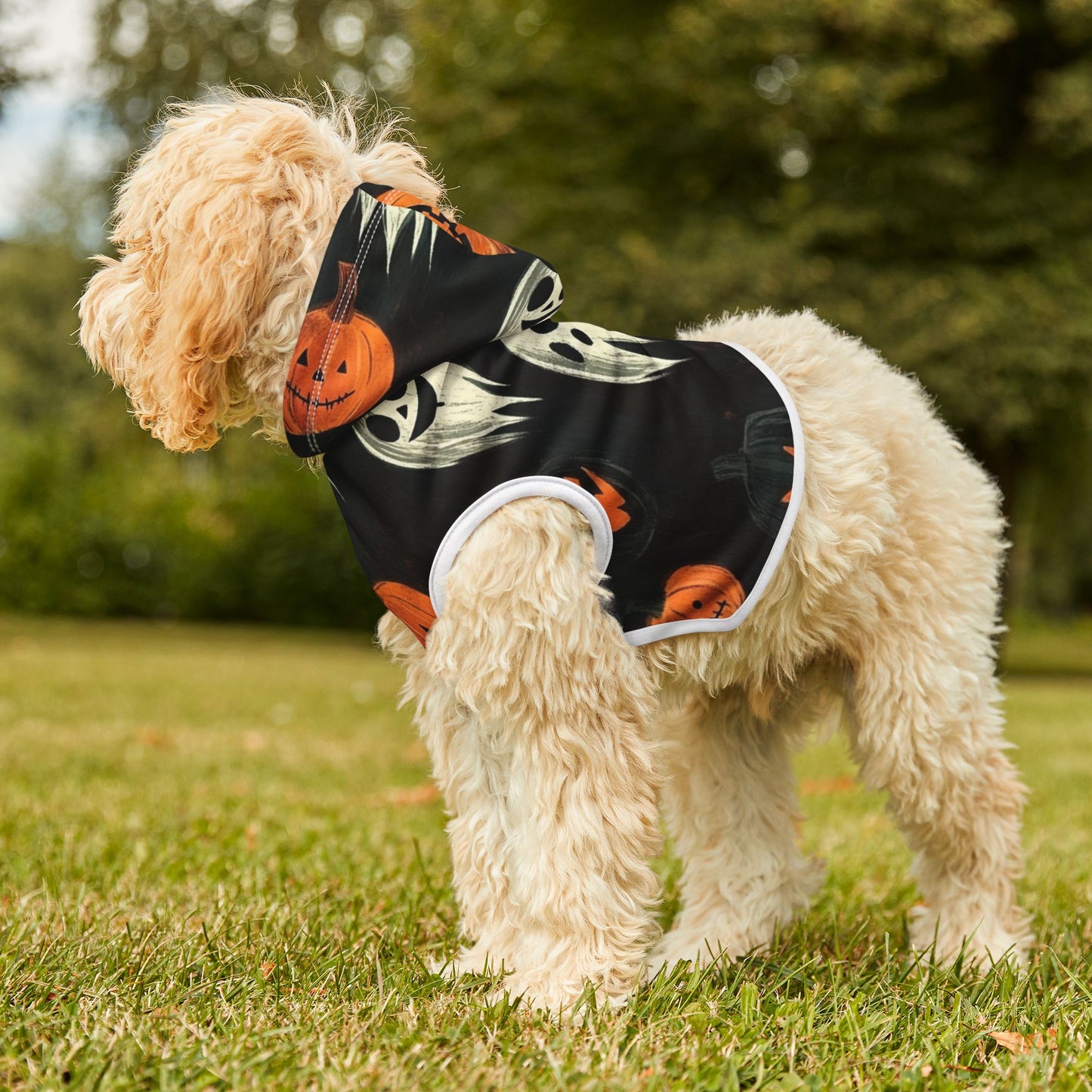 Spooky Halloween Pet Hoodie
