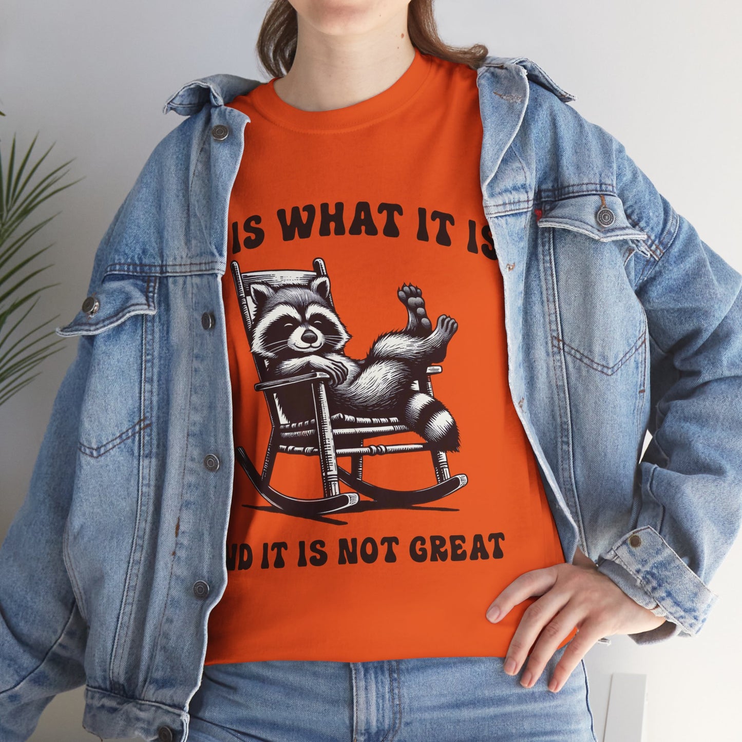It Is What It Is Unisex Heavy Cotton Tee