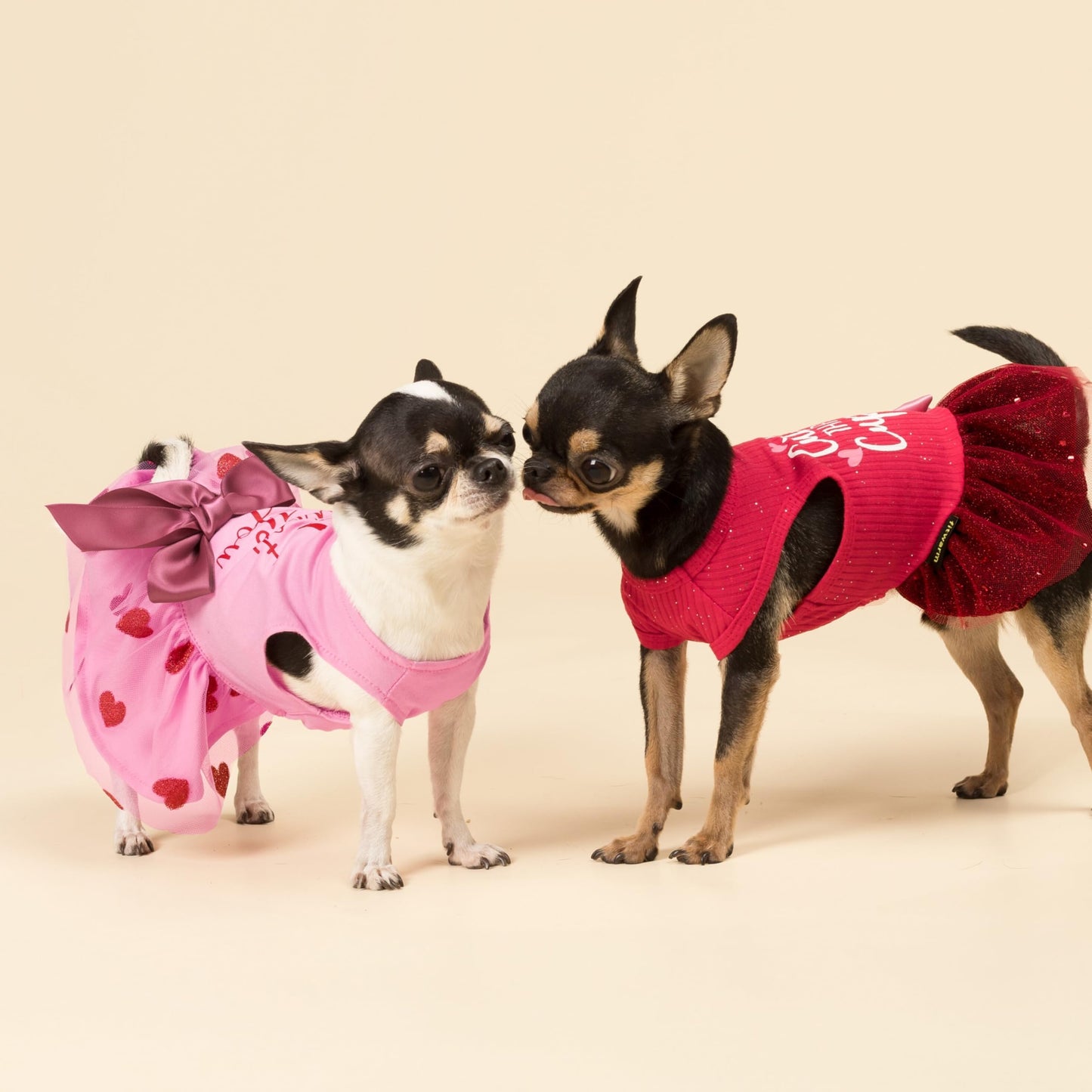 Fitwarm Cuter Than Cupid Dog Tulle Dress, Dog Valentines Outfit, Dog Clothes for Small Dogs Girl, Funny Dog Clothes, Pet Cat Apparel, Burgundy Red, Small