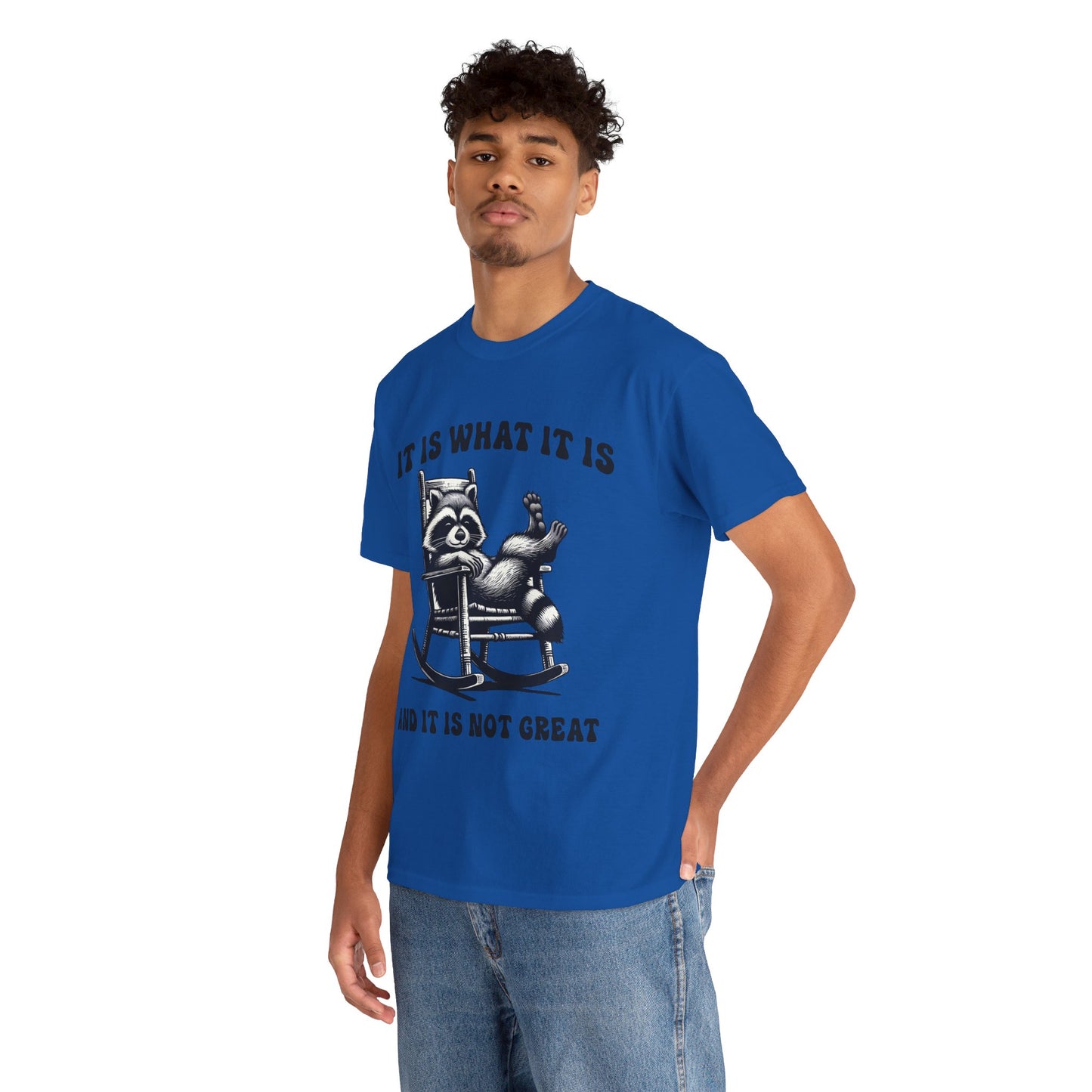 It Is What It Is Unisex Heavy Cotton Tee