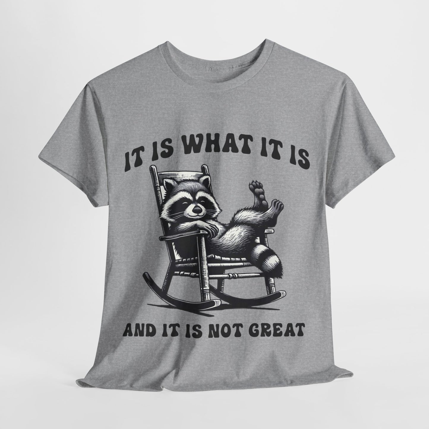 It Is What It Is Unisex Heavy Cotton Tee