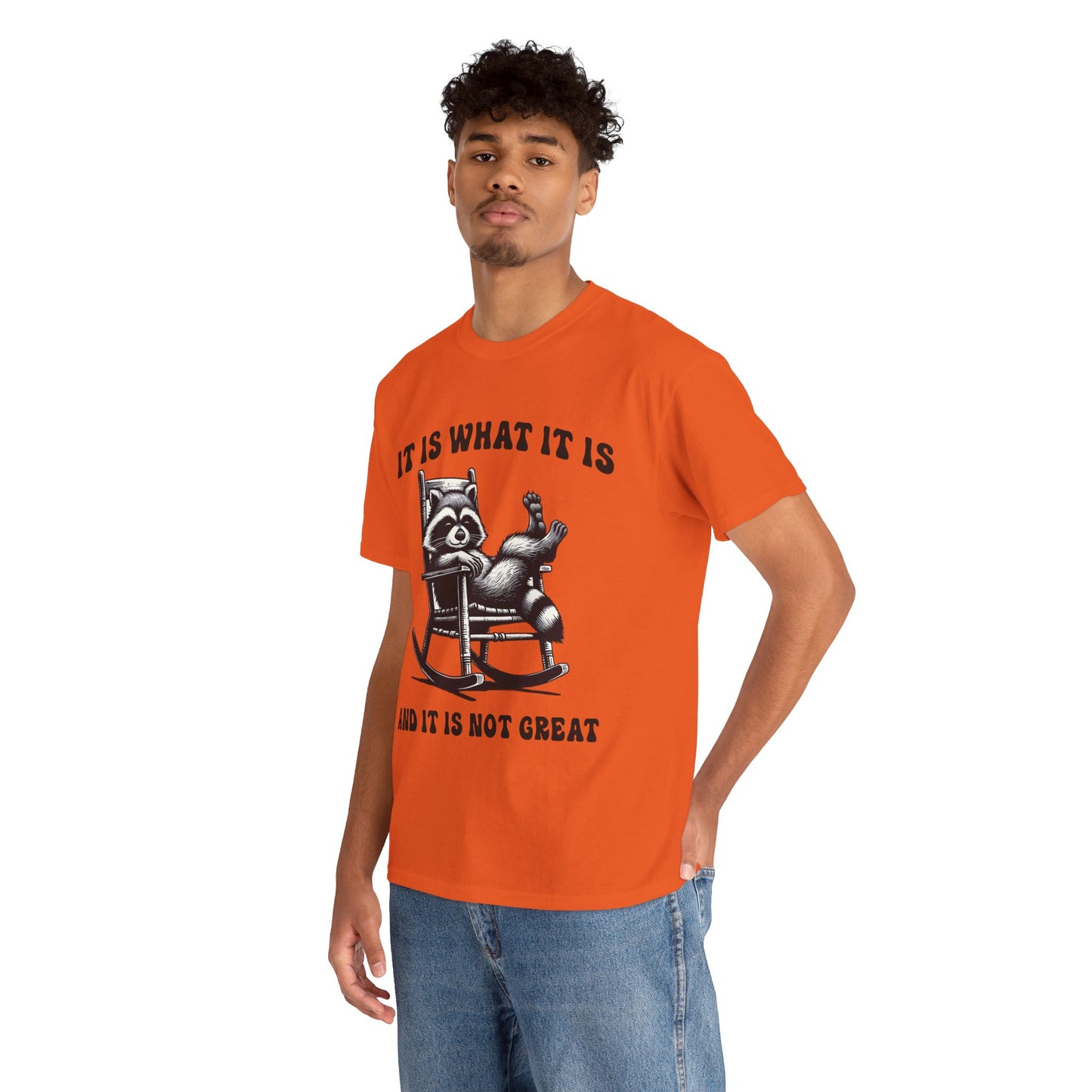 It Is What It Is Unisex Heavy Cotton Tee