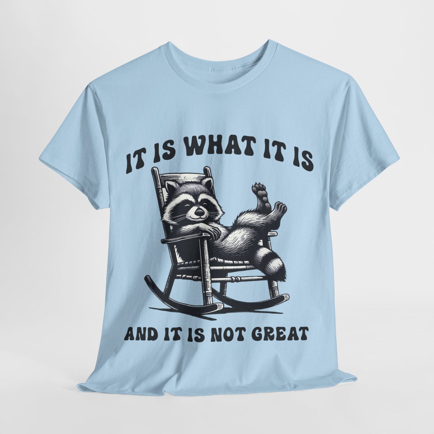 It Is What It Is Unisex Heavy Cotton Tee