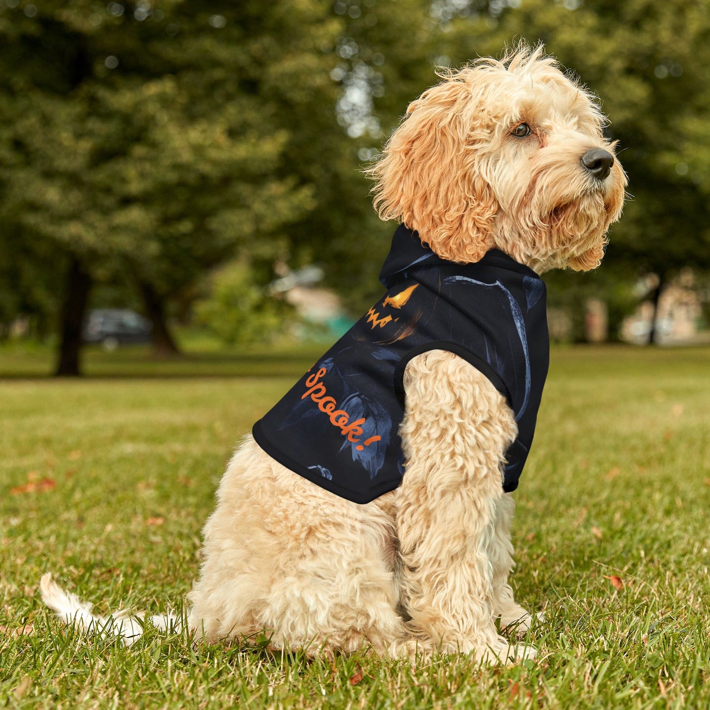 Too Cute To Spook Cat and Dog Pet Hoodie