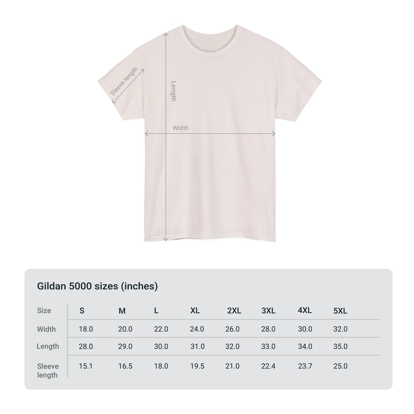 Anyone Else 2024 Unisex Heavy Cotton Tee