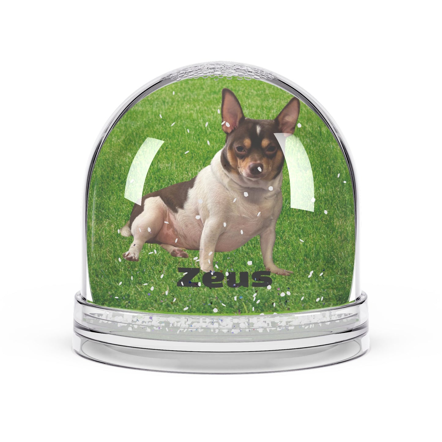 Any Occassion Snow Globe (Sample)