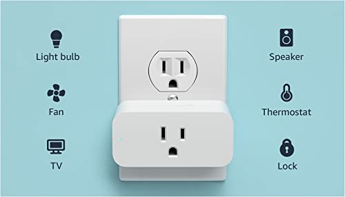 Amazon Smart Plug | Works with Alexa | Simple setup, endless possibilities